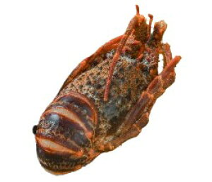 ys꒼szGr@YɐCV@tق@400-500gʁyⓀz194194