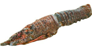 ys꒼szGr@YɐCV@錧ق@300-350gʁyⓀz396975