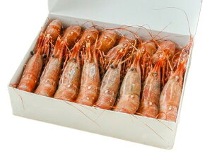 ys꒼szGr@{{^GriLji26-32jJi_ق@1000gʁyⓀz86322