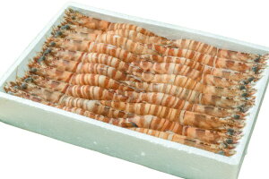 ys꒼szGr@LktԊCVi15jقi15j1000gʁyⓀz401788