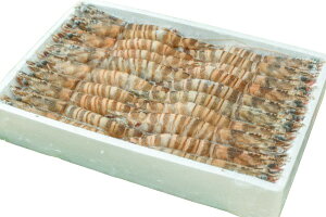 yBlackFridayZ[E|Cg10{zys꒼szGr@LktԊCVi22jقi22j1000gʁyⓀz381811