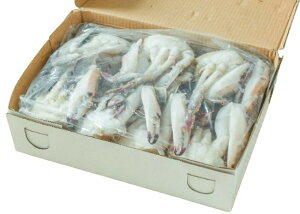 ys꒼szJj ؂胏^KjiLj16-20@o[@Mp@1kgʁyⓀz350131