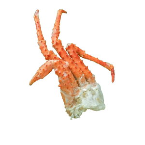 ys꒼szI ~i~^oKji1j `@200g yⓀz341852