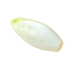 ys꒼szm؁@AfB[ui`Rj1@xM[ق@100-150gʁ@(①j