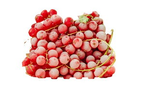 ys꒼sz@ԃXOibhJgjAJق@125gyⓀz