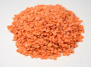 AT@Ɩp@ԃYiCOF؁j1kg