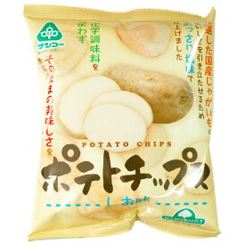 【送料無料】恒食　サンコー　ポテト チップス しお味　60g