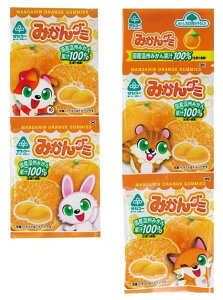 yz\[@TR[@݂O~@ 80g(20gx4)@x2Zbgy①z