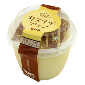 ؎Ɓ@q̃JX^[hv@100ml@x6Zbgy①z@\[