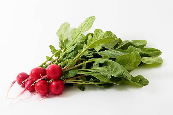 楽天市場 ムソーの安心野菜 特別栽培 ラディッシュ 葉なし洗い 70g ビーライフショップ 楽天市場 ムソーの安心野菜 特別栽培 ラディッシュ 葉なし洗い 70g ビーライフショップ