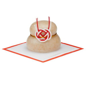 yEzL@Ďgp@̌^݁Eā@160gy퉷z\[