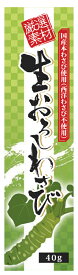 【送料無料(メール便)】東京フード　生おろしわさび（チューブ）40g　x2個セット