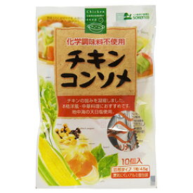 楽天市場 チキンコンソメ 粉末の通販