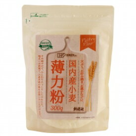 【送料無料】創健社　国内産小麦　薄力粉　300g　x2個セット