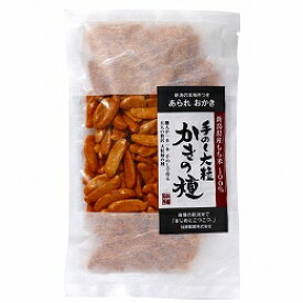 【送料無料】創健社　加藤製菓　大粒かきの種　120g　x2個セット