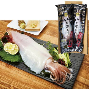 yEzyzꌺCƋg@ĎqCJZbg@2pbNyⓀz[J[̒iysEszyzԎwszn