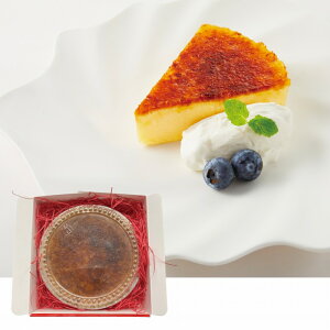 yEz˂@KJ^[i(12cmj1yⓀzn