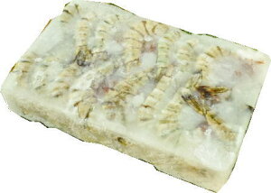 ys꒼szGr@ktubN^CK[i8-12ji萔32-48jChlVAق 1800gʁyⓀz