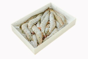 ys꒼szGr@LktvoiCiHpji20-25j@500gʁyⓀz278361