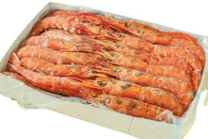 ys꒼szGr@A[`ԃGriL-1ji11-20ji22-40jA[`ق@2kgʁyⓀz398820