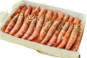 yBlackFridayZ[E|Cg10{zys꒼szGr@A[`ԃGriL-2ji21-30ji41-60jA[`ق@2kgʁyⓀz397911