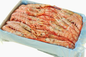 ys꒼szGr@A[`ԃGriL-3ji31-40ji62-80jA[`ق@2kgʁyⓀz399352