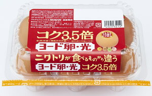 【朝市場直行】玉子 卵・卵加工品 ヨード卵 国産 6個【冷蔵】