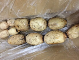 【減農薬】千葉県産　有坂さんの蓮根　約2kg箱【冷蔵】