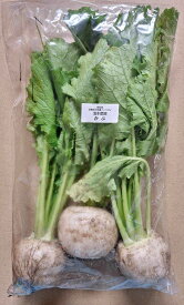 【減農薬】群馬県　北軽の小かぶ（3〜5個入り）約500gPx4 セット【冷蔵】