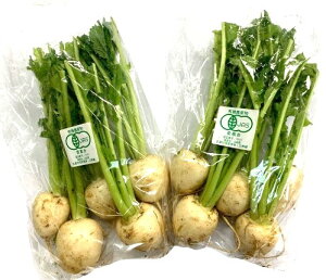 yL@F؁zR@^emt@[̗L@ԁ@1Pi4`7jx2Zbgy①z