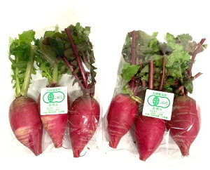 yL@F؁zR@^emt@[̍g卪i1`3{j500gP@x2Zbgy①z