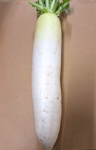 y_zQn@ky̑卪 (t؂) 1{@x2Zbgy①z