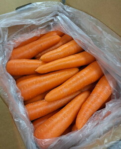 yL@F؁zkC@эL̗L@lQi􂢁j 10kgy①z