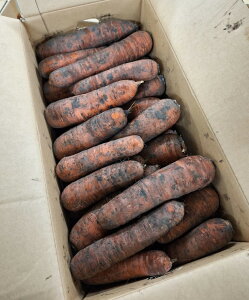 yL@F؁zkC̗L@lQiR͔|Eytj15kgy①z