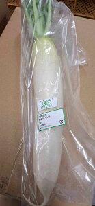 yL@F؁zt̗L@卪it؂􂢁j1{P@x2Zbgy①z