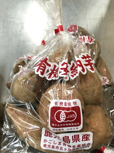 yL@F؁z@܂̗L@[igj 600gP@x2Zbgy①z