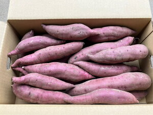 yL@F؁z쌧@܈@ʂ̗L@ׂɂ͂邩@5kgy①z