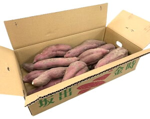 yL@F؁z쌧@܈@oi Ƃj5kgy①z