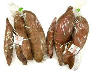 yL@F؁z쌧@܈@oi Ƃj700gP@x2Zbgy①z