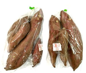 yL@F؁z쌧@ʂ̗L@ׂɂ͂邩i܈j 700gP@x2Zbgy①z