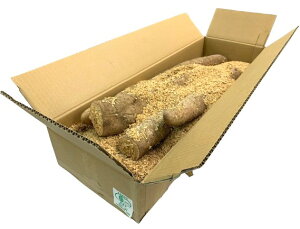 yL@F؁zR@^emt@[̗L@@5kgy①z