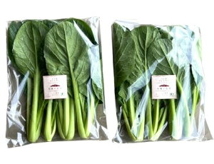 yL@F؁zR@x̗L@؁@200gP@x2Zbgy①z