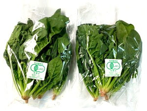 yL@F؁zR@^emt@[̗L@݂ق񑐁@200gP@x2Zbgy①z