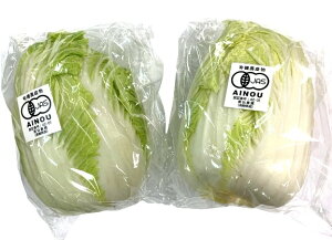 �y�L�@�F�؁z���茧�@�_��̗L�@�~�j���؁@1��P�@x2�Z�b�g�y�①�z