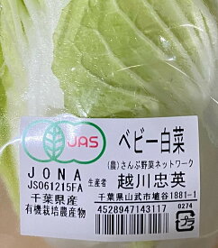 【スーパーセール特価】【有機認証】さんぶのベビー白菜　1個P（約250g）　x2個セット【冷蔵】