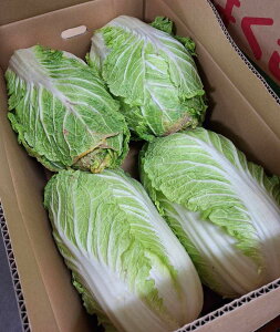 y_z錧@쎛̔؁i4`6j1y①z