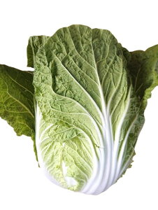 y_z錧@쎛̔؁@1@x2Zbgy①z