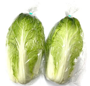 y_zQn@kỹ~j؁@(500gȏ)@1@x2Zbgy①z