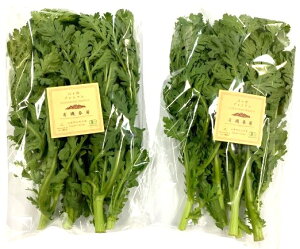 yL@F؁zR@x̗L@te@140gP@x2Zbgy①z