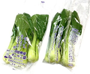 y_z݂̉@̃`Q؁@2`3P@200`300g@x2Zbgy①z